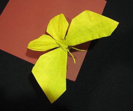 Origami Butterfly by Jason Ku on giladorigami.com