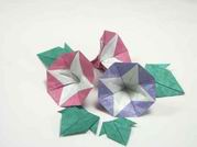 Origami Morning glory and other flowers by Makoto Yamaguchi on giladorigami.com