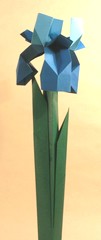 Origami Iris by Toshikazu Kawasaki on giladorigami.com
