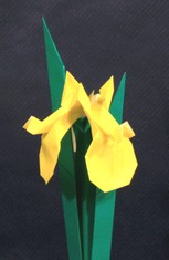 Origami Iris - yellow by Toshikazu Kawasaki on giladorigami.com