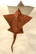 Origami Manta ray by Toshikazu Kawasaki on giladorigami.com