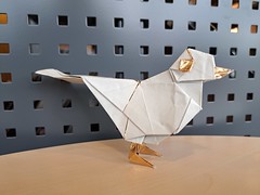 Origami Pigeon by Jiahui Li (Syn) on giladorigami.com