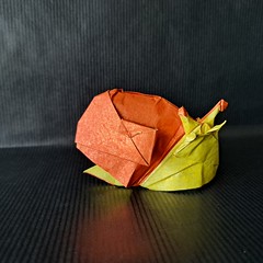 Origami Snail by Jiahui Li (Syn) on giladorigami.com