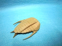 Origami Trilobites by Tran Trung Hieu on giladorigami.com