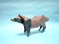 Origami Raccoon dog by Satoshi Kamiya on giladorigami.com