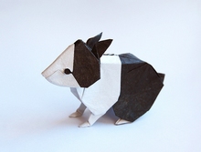 Origami Dutch rabbit by Seth M. Friedman on giladorigami.com