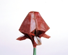 Origami Royal Iris by Yehuda Peled on giladorigami.com