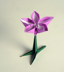 Origami Plumeria by Yehuda Peled on giladorigami.com