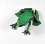 Origami Frog by Chris Heynen on giladorigami.com