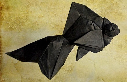 Origami Blackmoor goldfish by Ronald Koh on giladorigami.com