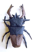 Origami European stag beetle by Manuel Sirgo on giladorigami.com