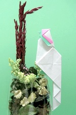 Origami Cockatoo by Seo Won Seon (Redpaper) on giladorigami.com
