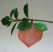 Origami Peach by Seo Won Seon (Redpaper) on giladorigami.com