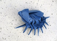 Origami Murex by Artur Biernacki on giladorigami.com