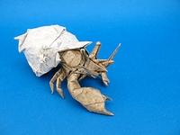 Origami Hermit crab by Satoshi Kamiya on giladorigami.com
