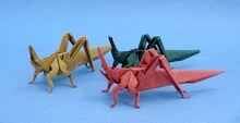 Origami Longheaded locust by Atsunori Muraki on giladorigami.com