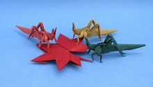 Origami Maple leaf by Nakagawa Kouji on giladorigami.com