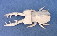 Origami Lucanus stag beetle by Hojyo Takashi on giladorigami.com