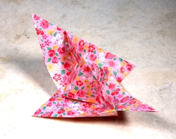 Origami Star shell by Nick Robinson on giladorigami.com