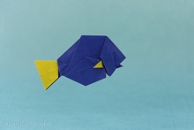 Origami Blue tang by David Llanque on giladorigami.com