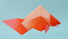 Origami Ryukin by Richard Ojeda Soto on giladorigami.com