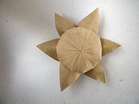 Origami Flower with 6 petals 2 by Lionel Albertino on giladorigami.com