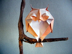 Origami Long-eared owl by Lee Armstrong on giladorigami.com