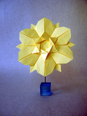 Origami Mayo 5 and Mayo 6 by Natalia Becerra Cano on giladorigami.com