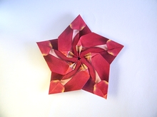 Origami 2 sided sakura star by Ali Bahmani on giladorigami.com
