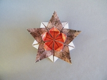 Origami Sakura star by Ali Bahmani on giladorigami.com