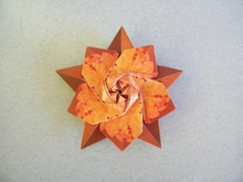 Origami Sakura star - Spring edition by Ali Bahmani on giladorigami.com