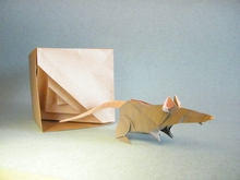 Origami Labyrinth cube by Edu Solano Lumbreras on giladorigami.com