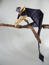 Origami Lionhead tamarin by Kunsulu Jilkishiyeva on giladorigami.com