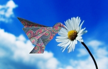 Origami Hummingbird by Kunihiko Kasahara on giladorigami.com