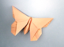Origami Butterfly - Eric Joisel by Michael G. LaFosse on giladorigami.com