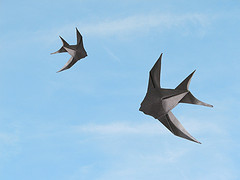 Origami Swallow by Sebastien Limet (Sebl) on giladorigami.com