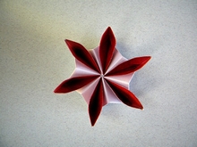 Origami Rosette by Ekaterina Lukasheva on giladorigami.com