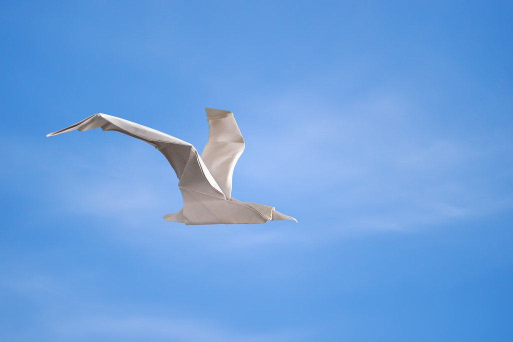 Origami Seagull by Angel Morollon Guallar on giladorigami.com
