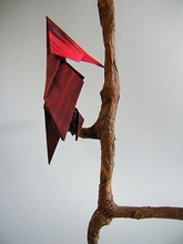 Origami Woodpecker by Fuchimoto Muneji on giladorigami.com