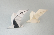 Origami Seagull by Daniel F. Naranjo V. on giladorigami.com