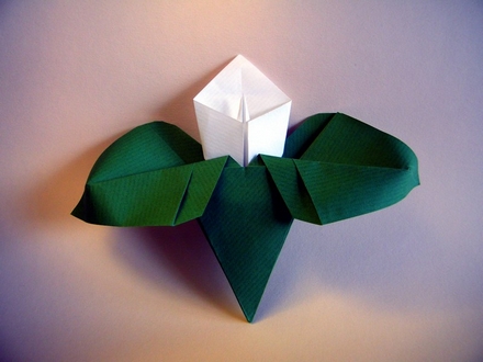 Origami Calla lily by Nilva Pillan on giladorigami.com