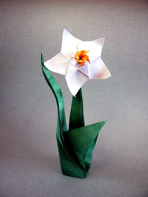 Origami Daffodil by Nilva Pillan on giladorigami.com