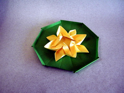 Origami Lotus by Nilva Pillan on giladorigami.com