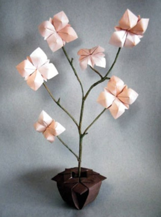 Origami Magnolia stellata by Nilva Pillan on giladorigami.com