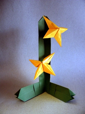 Origami Stapelia by Nilva Pillan on giladorigami.com