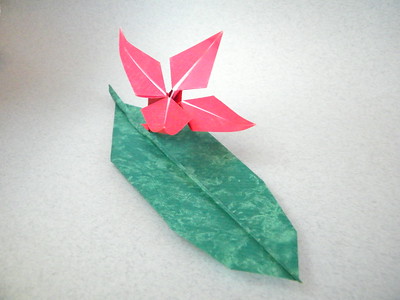 Origami Flowering tobacco by Nilva Pillan on giladorigami.com