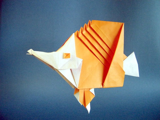 Origami Butterfly fish by Seo Won Seon (Redpaper) on giladorigami.com