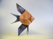 Origami Veilteil angelfish by Quentin Trollip on giladorigami.com