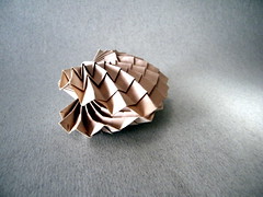 Origami Bivalvia 1 by Tsuda Yoshio on giladorigami.com