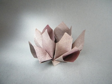 Origami Lotus by Yara Yagi on giladorigami.com
